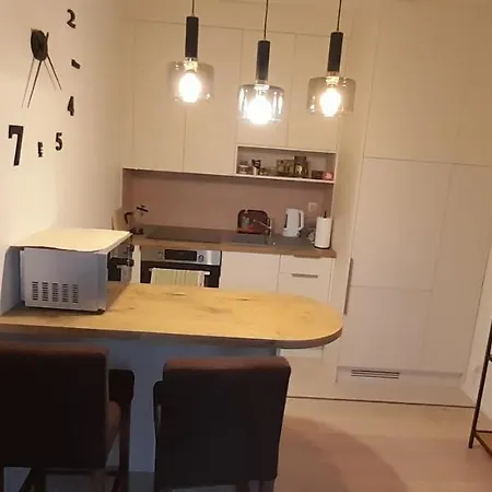 Friends - Mieszkanie 53m2 - Dwie Kawalerki Z Lazienka Apartmán Książenice