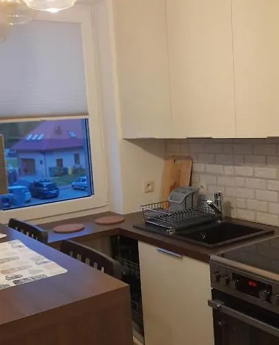 Friends - Mieszkanie 53m2 - Dwie Kawalerki Z Lazienka Apartment *