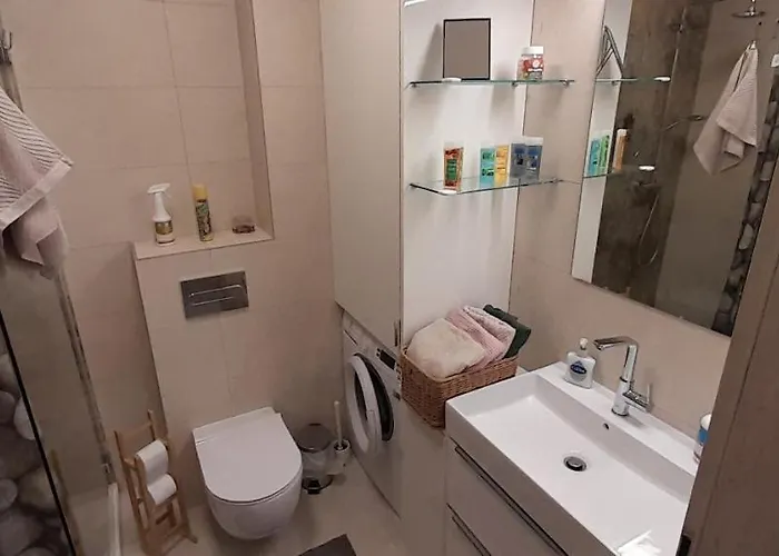 Friends - Mieszkanie 53m2 - Dwie Kawalerki Z Lazienka Apartment