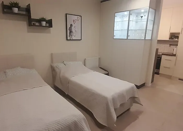 Friends - Mieszkanie 53m2 - Dwie Kawalerki Z Lazienka *